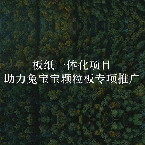 板纸一体化项目，助力bc贷颗粒板专项推广
