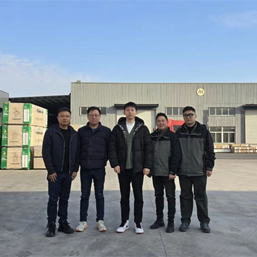 探索未来家居新风尚|bc贷彩臻板的创新之旅