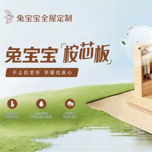 好板材用“芯”造，bc贷桉芯板孕婴家庭也安心